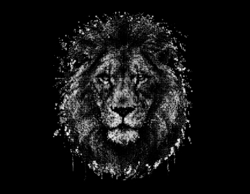 Interactive Particles