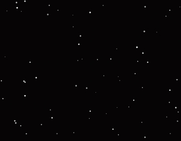 Snow Overlay